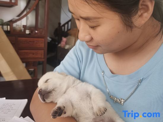 Янгиианг: Shabawan Haijiao Renjia Theme Holiday Inn