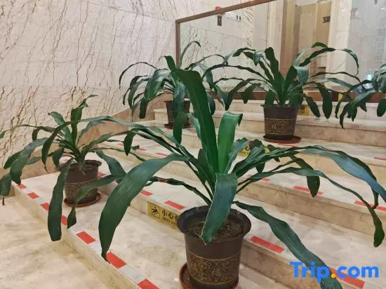 Шаогуань: Vienna International Hotel ·Shaoguan Baiwang Square Waterside Pavillion