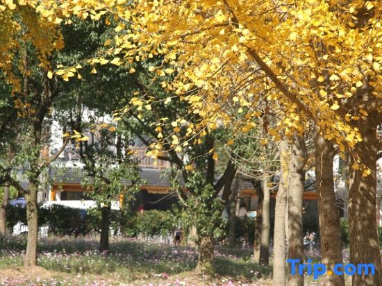 Хучжоу: Tianyuan Inn