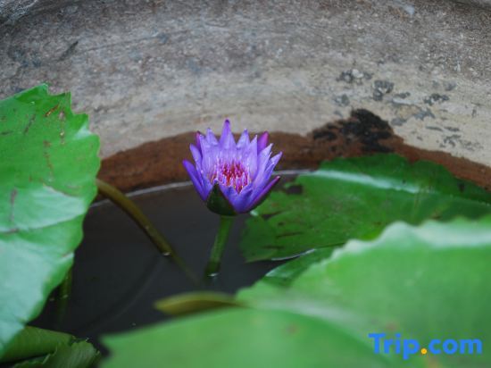 Чжухай: Liyuan Nanchangsheng Boutique Humanities Homestay (Zhuhai Doumen Yu Hot Spring Branch)