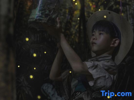 Пекин: Expo Serene Hotel Shiyuan