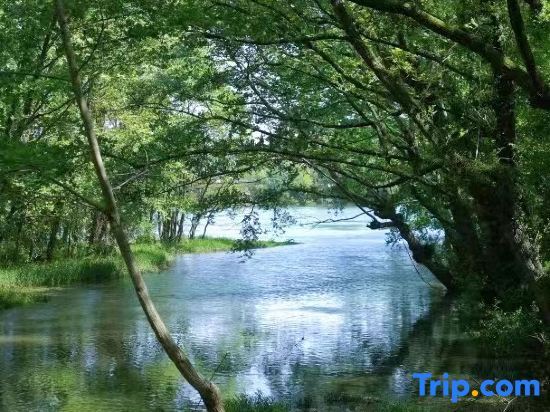 Хуаншань: Wangshan Life Fishing Snow Garden Natural Aesthetics Homestay (Huangshan Xixinan Ancient Village)