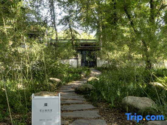 Хуаншань: Wangshan Life Fishing Snow Garden Natural Aesthetics Homestay (Huangshan Xixinan Ancient Village)
