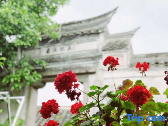 Чжоушань: Bingzhan Hostel