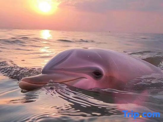 Бэйхай: Yihai Homestay (Weizhou Island Wucaitan Branch)
