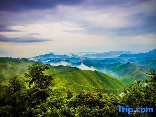 Хучжоу: Moganshan Mu Xi Stone Color Homestay