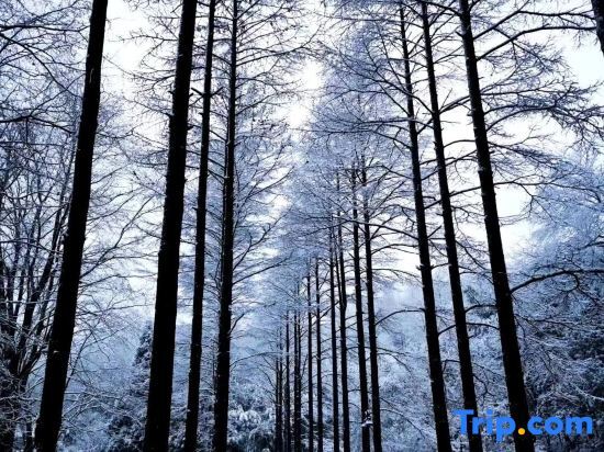 Хучжоу: Moganshan Mu Xi Stone Color Homestay