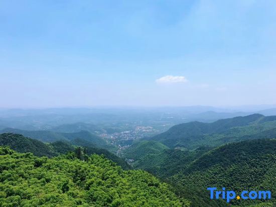 Хучжоу: Moganshan Mu Xi Stone Color Homestay