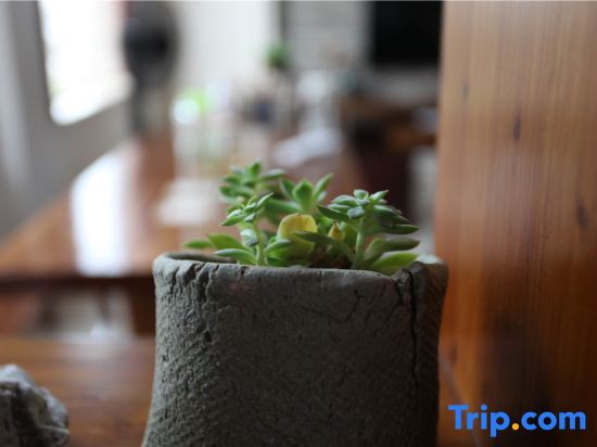 Тайчжоу: Xianju linxi small cottage homestay
