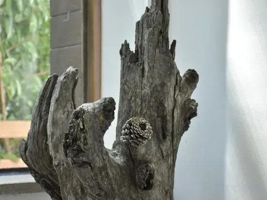 Ханчжоу: BeiOu Homestay