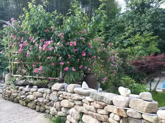 Ханчжоу: Hangzhou Nongfu Lu Homestay