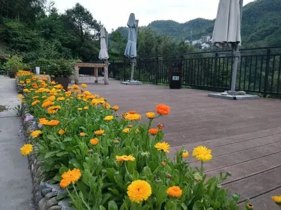 Ханчжоу: Hangzhou Nongfu Lu Homestay