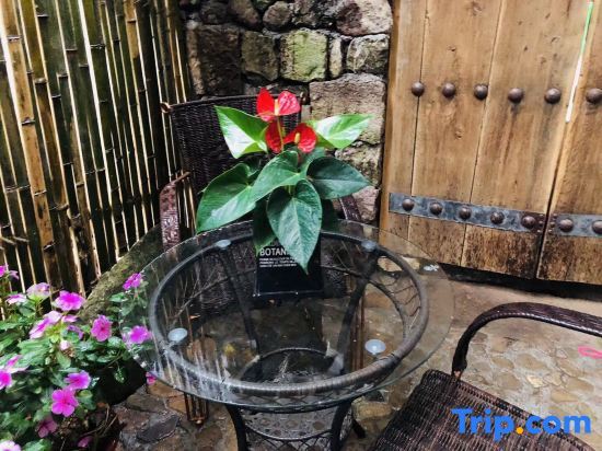Тайчжоу: Mountain View Hostel