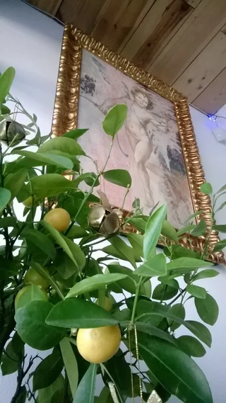 Симферополь: Гостевой Дом Terrazzo