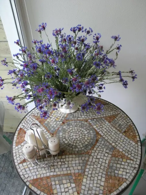 Симферополь: Гостевой Дом Terrazzo