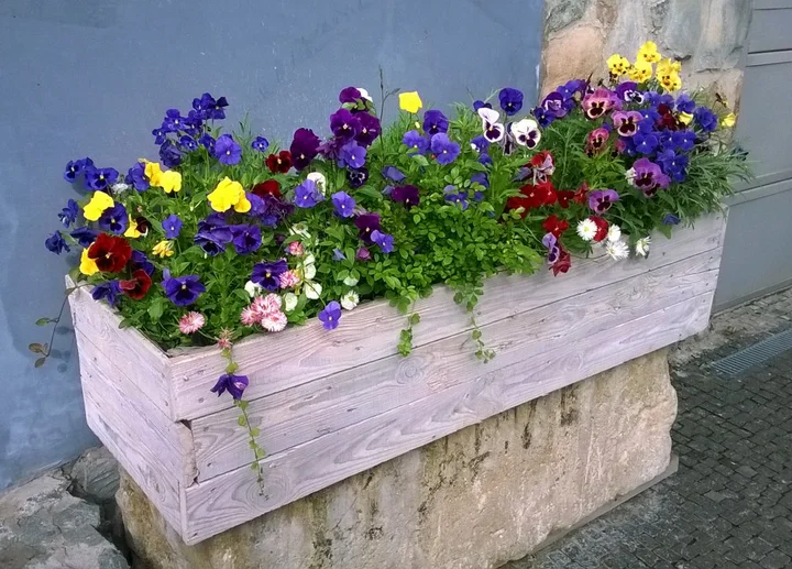 Симферополь: Гостевой Дом Terrazzo
