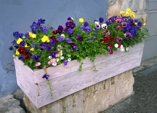 Симферополь: Гостевой Дом Terrazzo