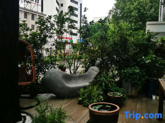 Чжэньцзян: Ginkgo No.8 Homestay