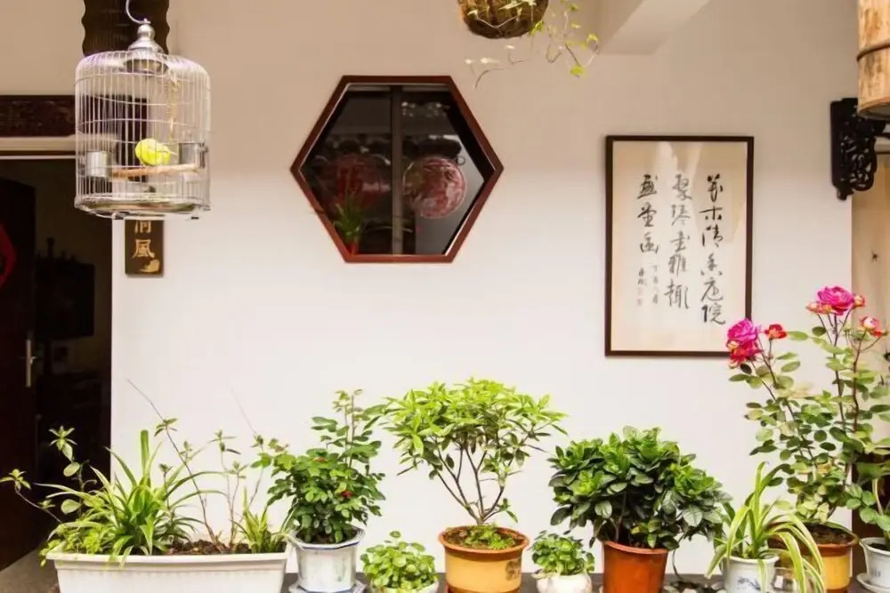 Сучжоу: Suzhou Wutong Courtyard