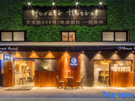 Шанхай: Iforest Hostel (Shanghai Tongji University Siping Road Metro Station)