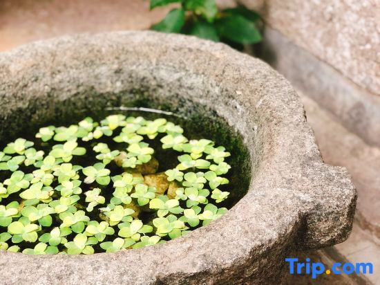 Цюаньчжоу: Bujin Homestay