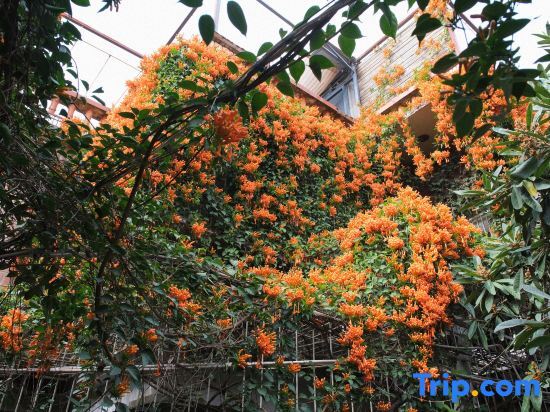Цюаньчжоу: Bujin Homestay