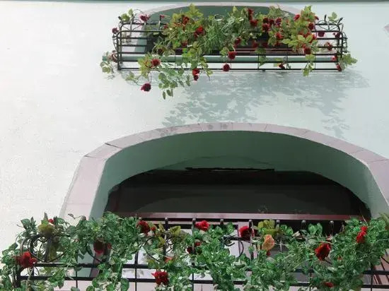 Чжоушань: Weilan Seaside Hostel