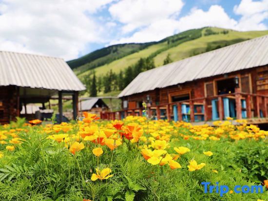 Буркин: Taijia Hostel