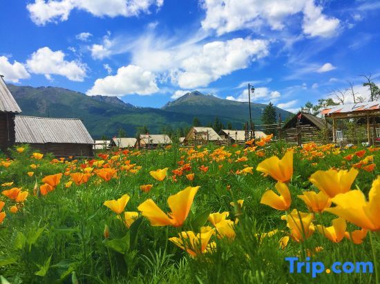 Буркин: Taijia Hostel