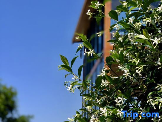 Тайчжоу: Midie Huawu Guesthouse