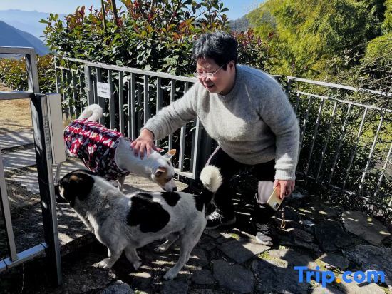 Лишуй: Yunying Xingu Homestay
