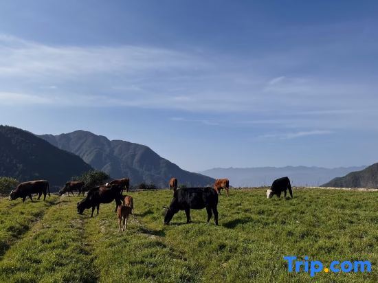Лишуй: Yunying Xingu Homestay