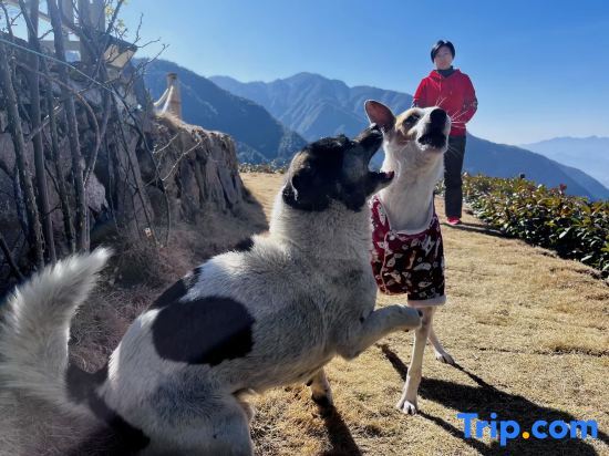 Лишуй: Yunying Xingu Homestay