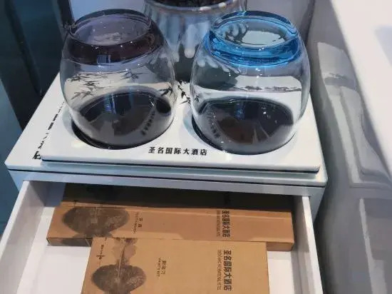 Чунцин: Shengming International Hotel (Chongqing Jiangbei Airport T3 Terminal)