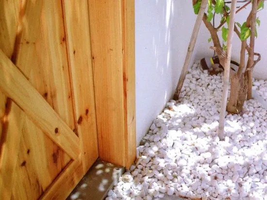 Бэйхай: Cover yard homestay