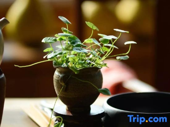 Чунцин: Chongqing Nanshan Yushi Homestay