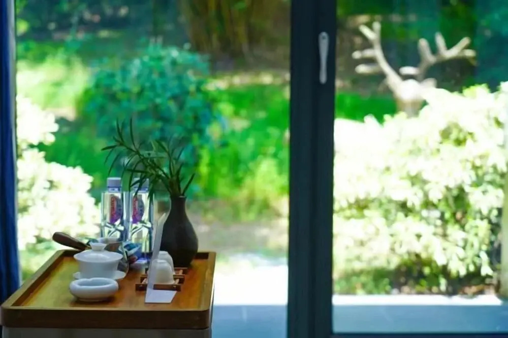 Чунцин: Chongqing Nanshan Yushi Homestay