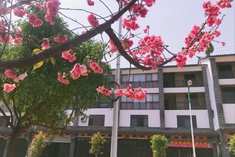 Юйси: Moyan Inn
