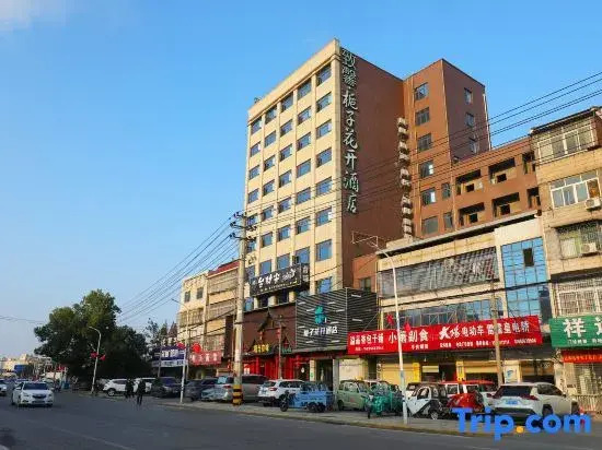 Цзинчжоу: Zhixin Gardeia Open Hotel Yaowan Store
