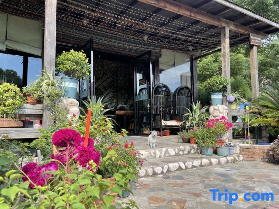 Plantain Inn — фото 3