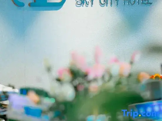 Лучжоу: Luzhou Sky City Hotel