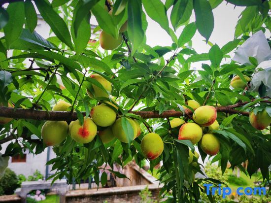 Хуаншань: Hongcun poyin Minguoli Guesthouse