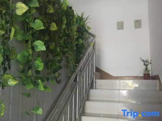 Шанхай: Shanghai  Anyi Hostel