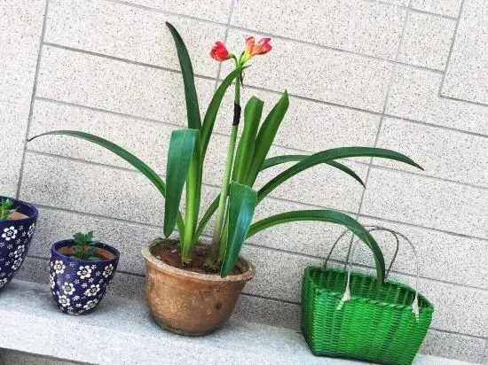 Фучжоу: Haiwan Homestay