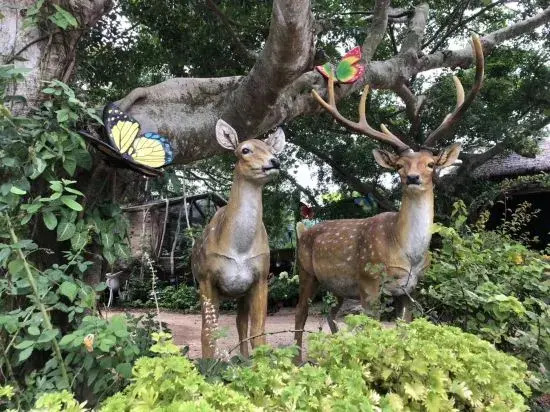 Бэйхай: Beihai Hai Homestay (Guantouling National Forest Park Branch)