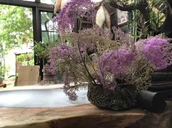 Бэйхай: Beihai Hai Homestay (Guantouling National Forest Park Branch)