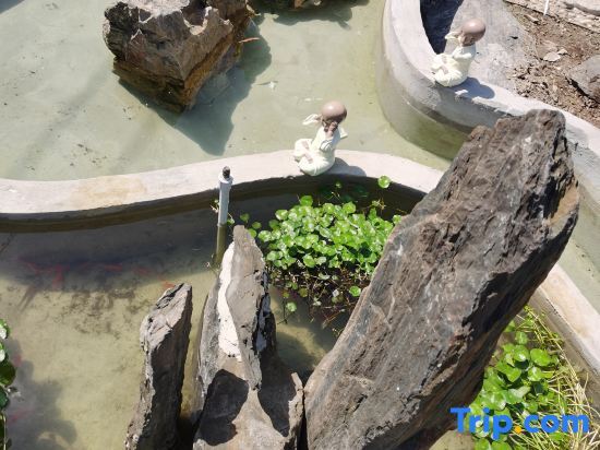 Шанхай: YunLu Homestay (Shanghai International Tourism Resort)