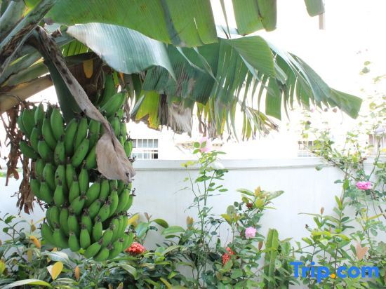 Бэйхай: Weizhou Island Yiyu Yisu Seaview Homestay (Wucaitan Branch)