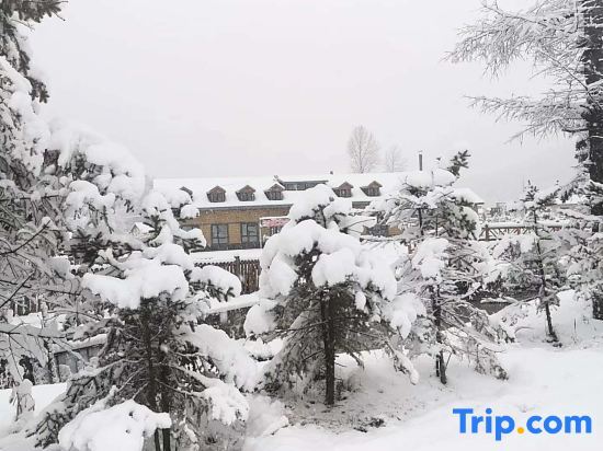 Муданьцзян: Xiaoxia Homestay