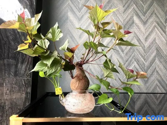 Шаньтоу: Nan Gao Boutique Apartment